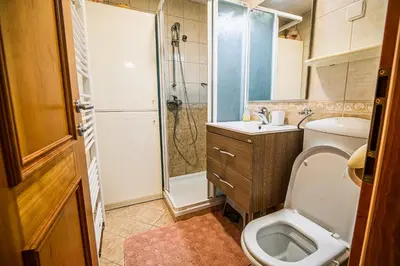 a small bathroom with a toilet and a shower at Apartments Vila Lena at Aqualuna in Podčetrtek