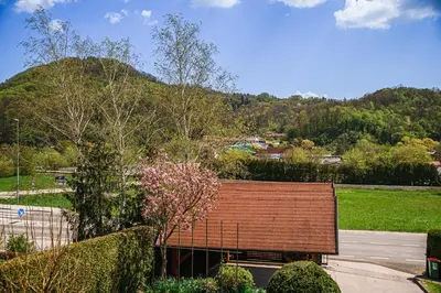 a building with a brown roof in a park at Apartments Vila Lena at Aqualuna in Podčetrtek