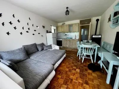 a living room with a couch and a kitchen at Relax in nature Apartment in Bovec