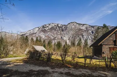 a house with a mountain in the background at Holiday Home Kozorog in Bohinj