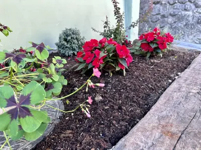 a flower garden with red flowers and plants at Bajta Kroparica in Kropa
