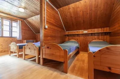 a room with three beds in a wooden house at Mala koča Wooden Cabin in Goreljek