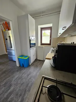 Gallery image of The Green Door Apartment in Postojna