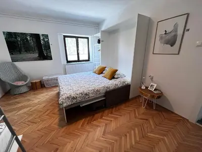 Gallery image of The Green Door Apartment in Postojna