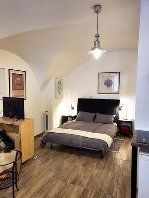 a bedroom with a bed and a tv in it at Studio Ian in Ljubljana