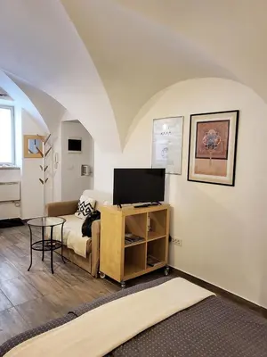 a living room with a couch and a tv at Studio Ian in Ljubljana