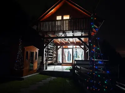 a christmas tree in front of a cabin with christmas lights at Apartma na KOZOLCU in Dobovec