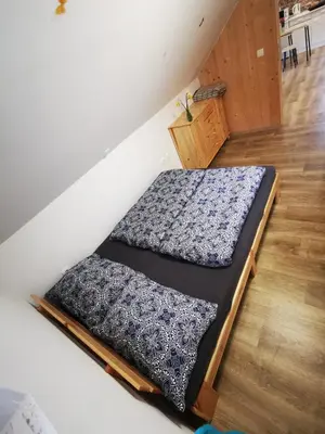 two beds sitting on the floor of a room at Apartma na KOZOLCU in Dobovec