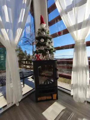 a christmas tree on a fireplace in front of a window at Apartma na KOZOLCU in Dobovec