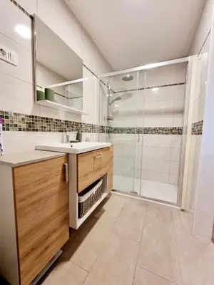 a bathroom with a sink and a shower at Hiša Rožmarin in Osp