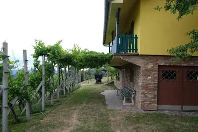 a building with a bench next to a row of trees at Vikend hiša Vrhe in Senovo