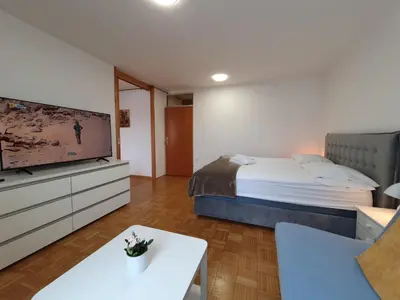 a bedroom with a bed and a tv and a couch at Apartment Zala with free parking Tour As Ljubljana in Ljubljana