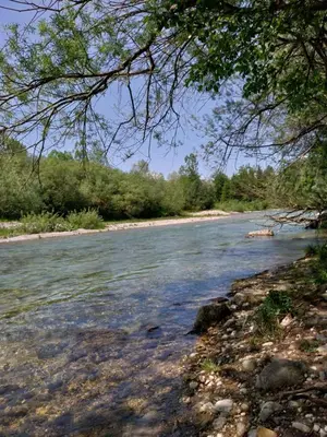 a view of a river with rocks and trees at Apartment Neli in Rečica ob Savinji