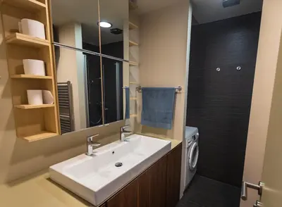 a bathroom with a sink and a washing machine at Triple Bridge Ljubljana in Ljubljana