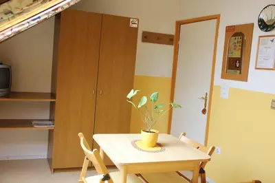 a table and chairs with a plant on top of it at Mekina Guesthouse in Maribor