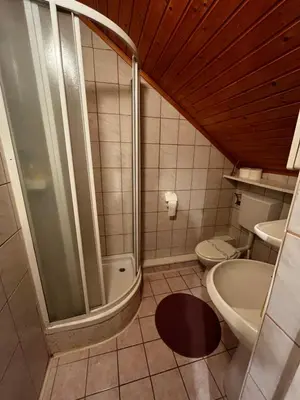 a bathroom with a shower and a toilet and a sink at Mekina Guesthouse in Maribor