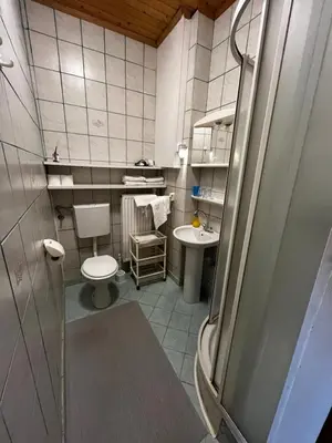 a bathroom with a toilet and a sink at Mekina Guesthouse in Maribor