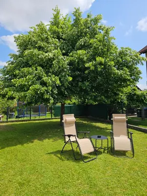 two chairs and a table in front of a tree at APARTMA FIREFLY1 in Ljubljana