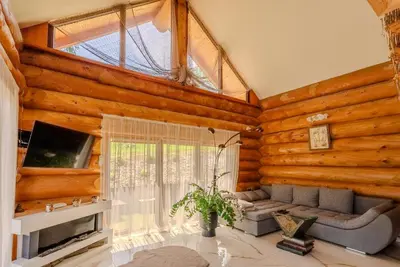 a living room with a couch and a tv at Chalet -VV in Podčetrtek