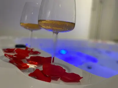 a glass of wine and red roses on a white plate at Lavitas SPA in Moravče