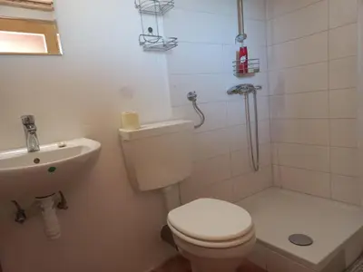 a white bathroom with a toilet and a sink at Bellevue mini House in Žetale