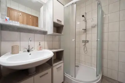 a bathroom with a sink and a shower at Apartmaji Koza in Zgornje Gorje