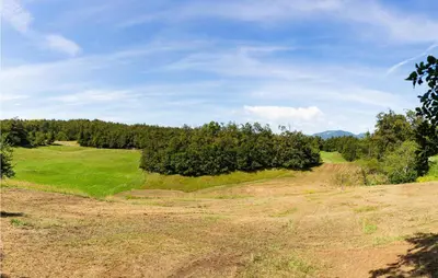 an open field with trees in the distance at 1 Bedroom Stunning Apartment In Col in Zoll