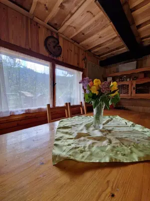 a vase of flowers on a table in a room at OTO`S CABIN in Radovljica