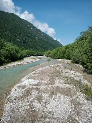 a river with trees on the side of a mountain at Gorski biser in Mojstrana