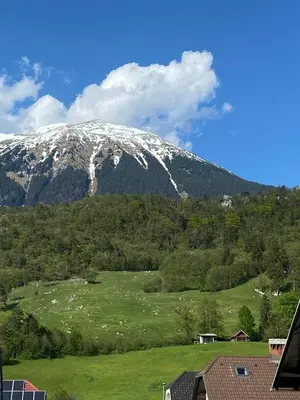 a snow covered mountain with a green field and trees at Apartment Rozalija Žirovnica in Žirovnica