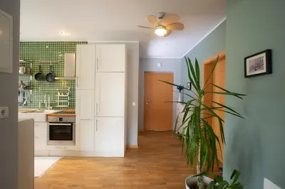 a kitchen with white cabinets and a potted plant at Apartment Rozalija Žirovnica in Žirovnica