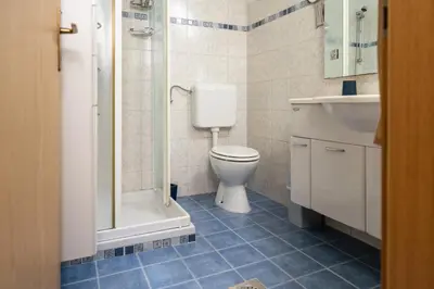 a bathroom with a toilet and a shower and a sink at Apartma Metka in Bohinj