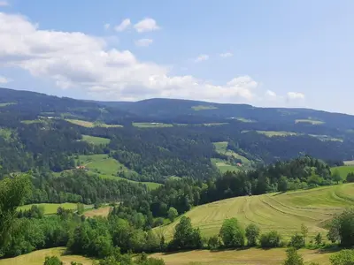 a view of a valley with green fields and trees at House Under The Maple Tree in Vitanje