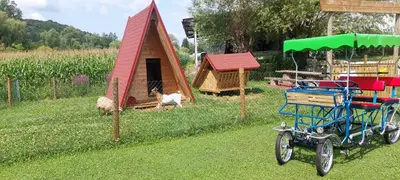 a bike parked in a field with goats and a house at GREEN LAND Family Fun Sport Resort in Šmarje pri Jelšah