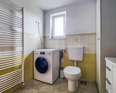 a bathroom with a washing machine and a toilet at Apartma Hilltop Haven in Šmarje pri Jelšah