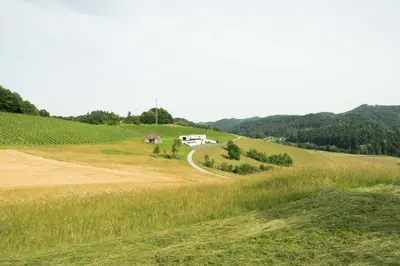 a house on a hill next to a road at An der Südsteirischen Weinstraße Gamlitz - Idyllisches Ferienhäuschen im Naturparadies mit großem Whirlpool & Panoramasauna in Zgornja Kungota