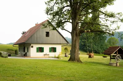 a white house with a tree in a field at An der Südsteirischen Weinstraße Gamlitz - Idyllisches Ferienhäuschen im Naturparadies mit großem Whirlpool & Panoramasauna in Zgornja Kungota
