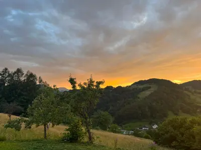 a tree in a field with a sunset in the background at Karla’s House in Dobje pri Planini