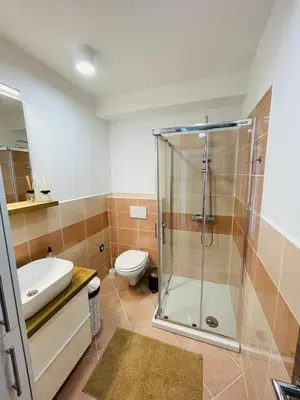 a bathroom with a shower and a sink and a toilet at Vacation Station Ptuj in Videm pri Ptuju