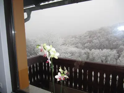 a window with a view of a snow covered forest at Holiday Home Češnovar in Raka
