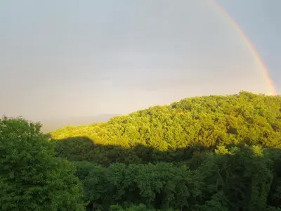 a rainbow in the sky over a forest of trees at Holiday Home Češnovar in Raka