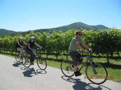 a group of people riding bikes down a road at Holiday Home Češnovar in Raka