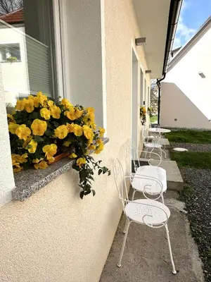 a row of chairs and flowers on the side of a building at OM Yoga center in Slovenska Bistrica