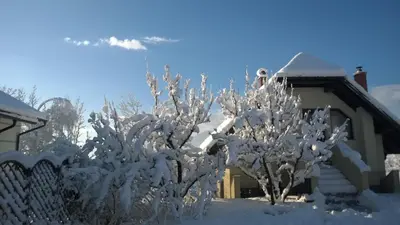 a tree covered in snow in front of a house at Apartment Knap in Cerknica