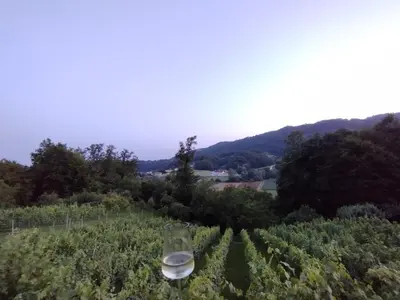 a wine glass in the middle of a vineyard at Mini hiška v objemu vinograda in Pristava pri Mestinju
