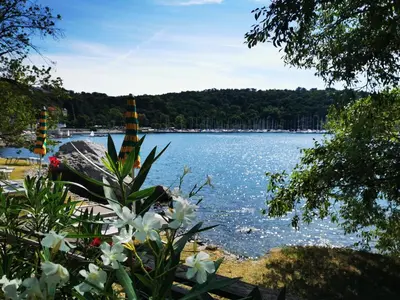 a view of a body of water with flowers at Krasen Kras 104 resort in Komen