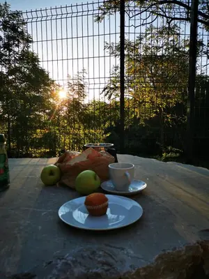 a table with two plates of food and a cup of coffee at Krasen Kras 104 resort in Komen