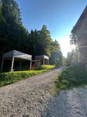 a gravel road next to a building and trees at Mountain hut Dom pod Storžičem in Tržič
