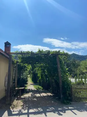 an entrance to a garden with an arch covered in vines at Pr Krač Countryside Hideaway in Dol pri Ljubljani