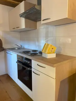 a kitchen with a stove and a counter top at Pr Krač Countryside Hideaway in Dol pri Ljubljani